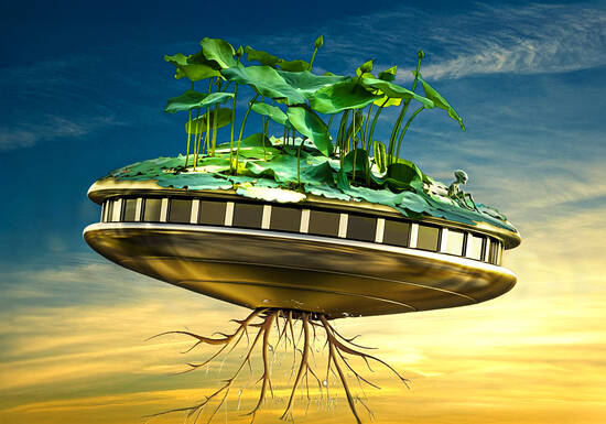 Mars Lilycraft 