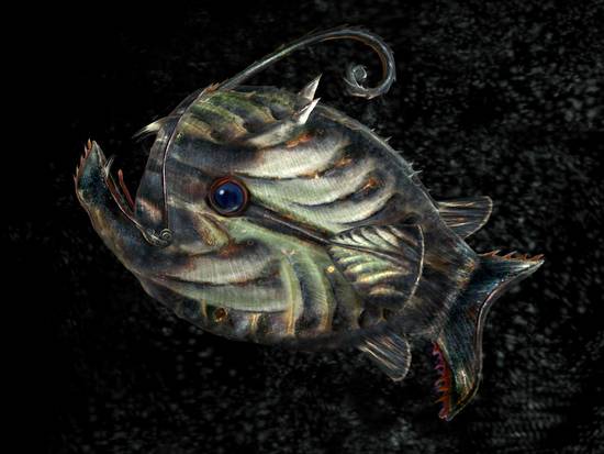 Primordial Pitcher Fish