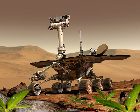 Life found on Mars?