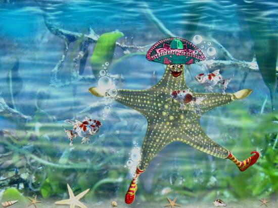 Pickled Starfish