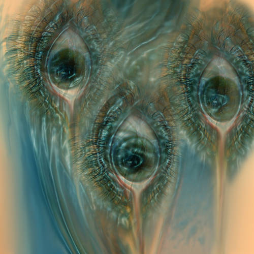 Peacock eyes