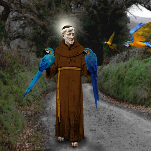 St. Francis & the Macaws