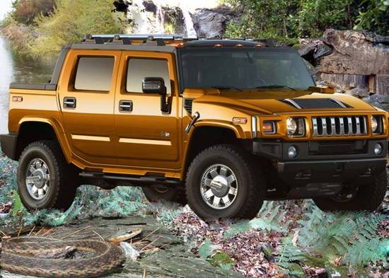 Hummer in the nature