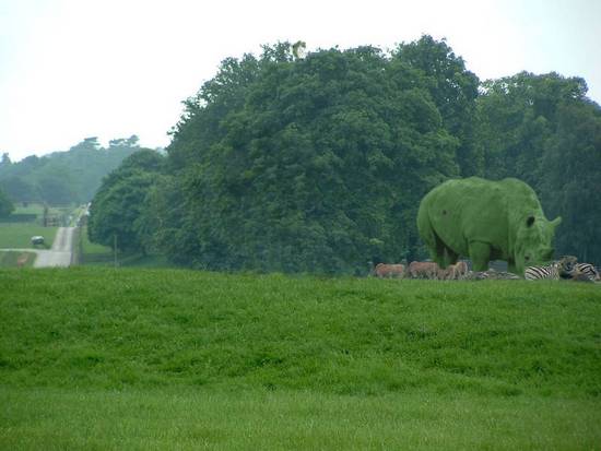 Jolly Green Rhino