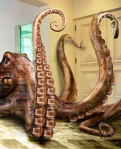 Strange octopus