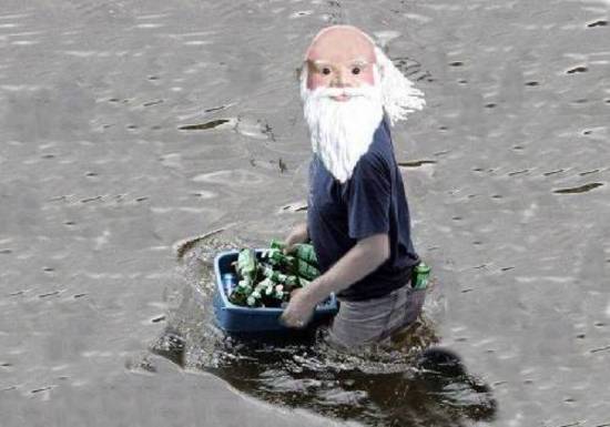 Gnome Looter
