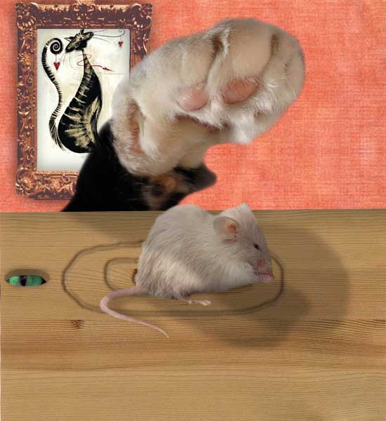 CATCH THE MOUSE