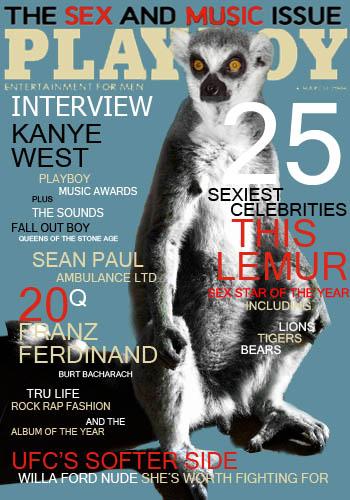 Lemur Playboy