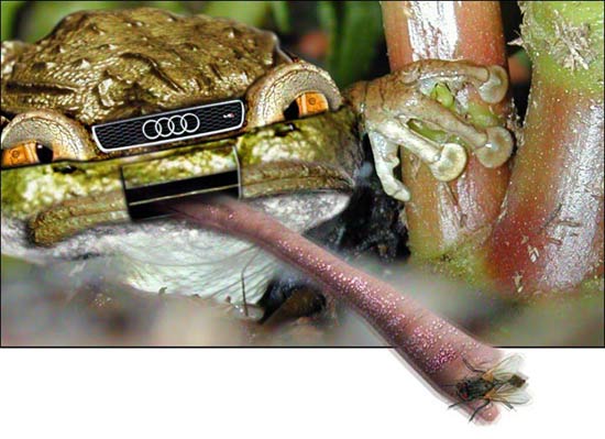 It's...a car frog?