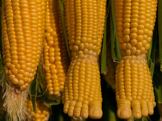 I got Corns on my Feet