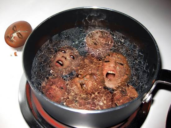 A Screaming Boil
