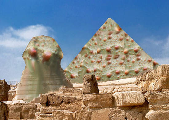 Toad visits egypt!