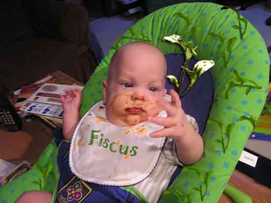 Baby Fiscus