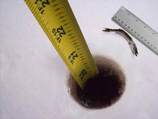 From 20 inches to 10 cm