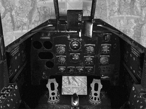 Stuka Cockpit View