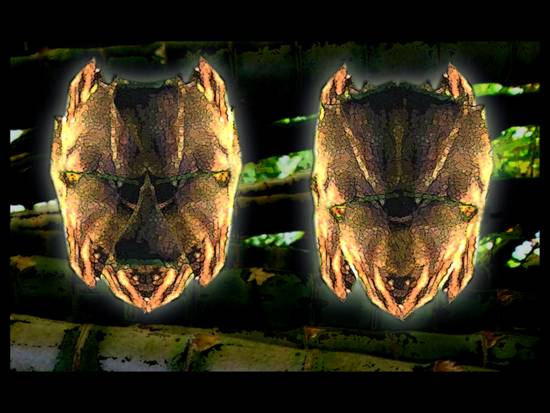 Insectoid Tribal Masks