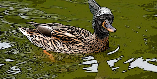 Metal Headed Duck