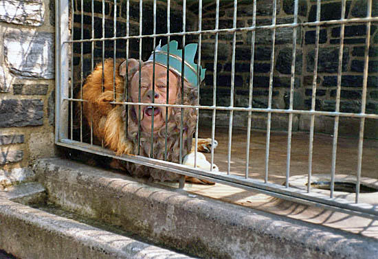 Caged Courage