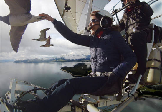 Flying With Geese