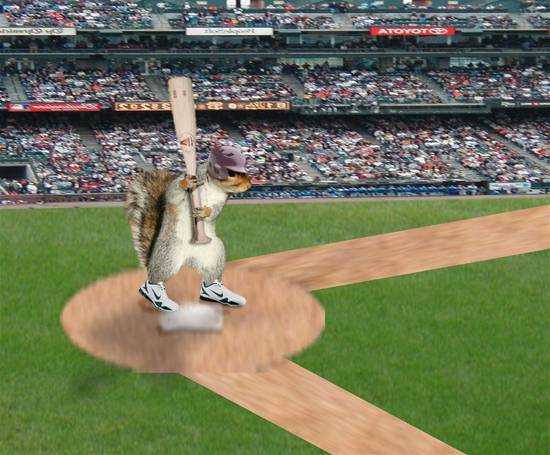 Baseball Squirrel