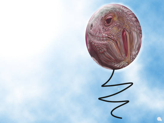 Lost baloon