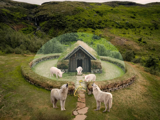 The three little pigs...