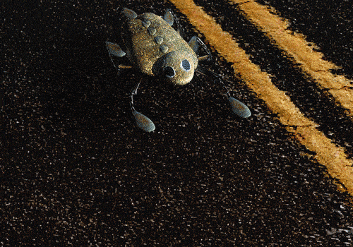 Roadkill [GIF]