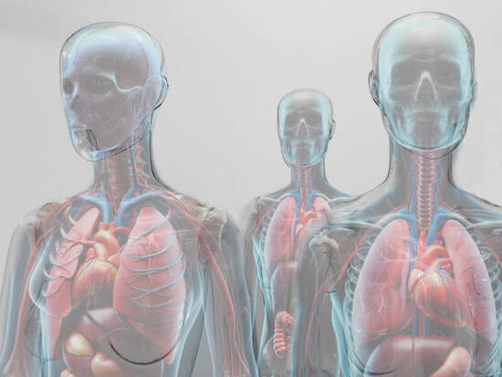 Transparent and vibrant