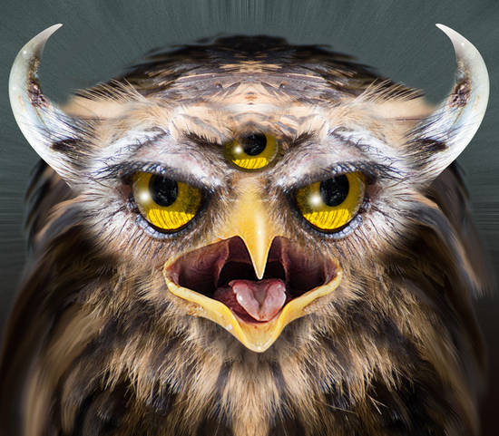 Screaming Horned Owl