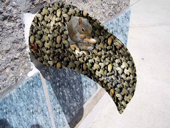 He Got Nuts