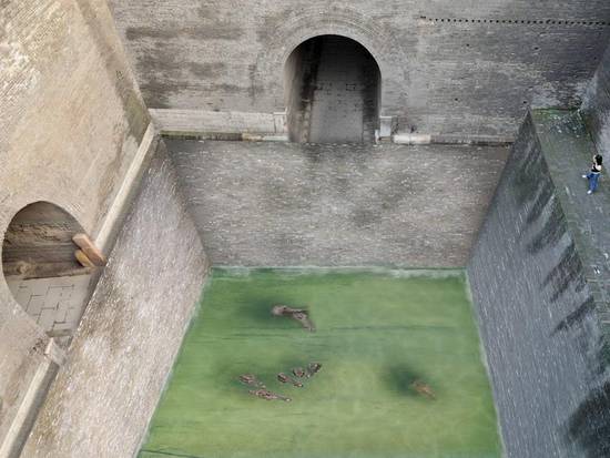 pit of crocodiles