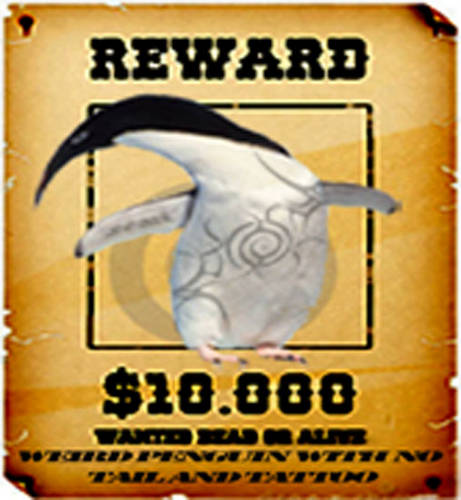 Wanted Penguin