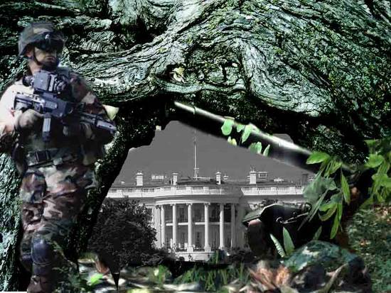 invading the White House