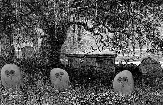 Owl's Graveyard