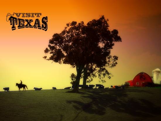Visit Texas Postcard