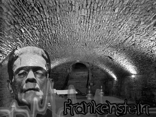 Frankensteins Layer