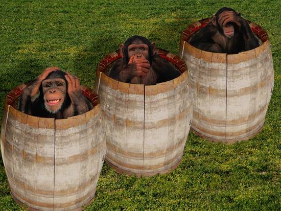 Barrel(s) of Monkeys