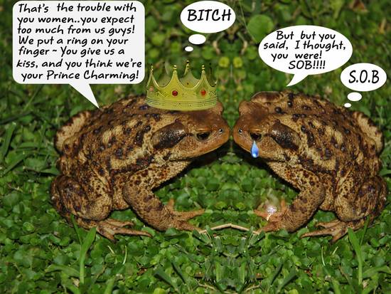 Two Angry Toads