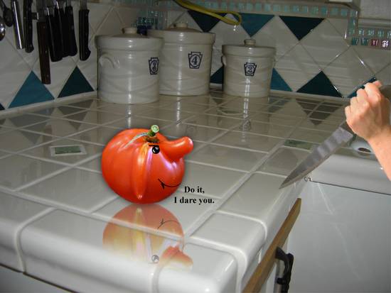 Tough Tomato (updt)