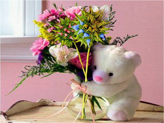 Flower Holder Teddy