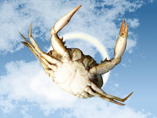 All crabs go to heaven