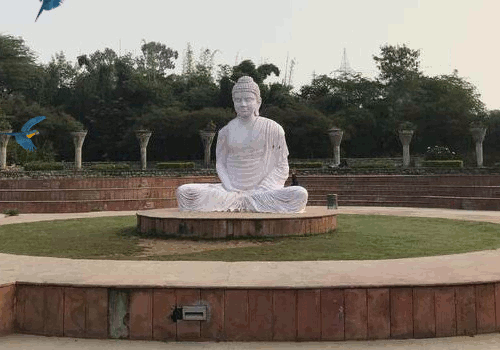 Alone and Angry Buddha