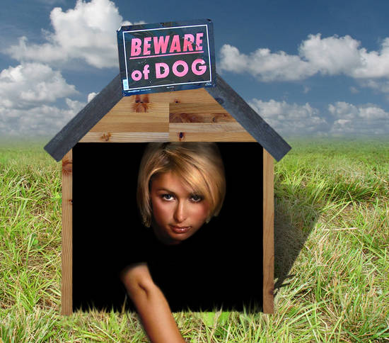 Beware Of The Dog!