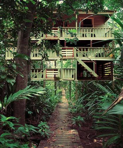 Jungle-House boardwalk