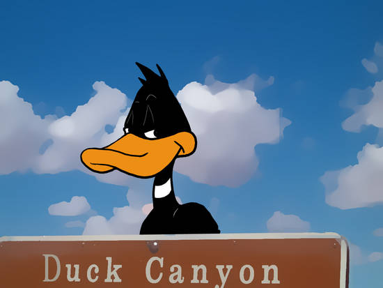 Duck Canyon Duck