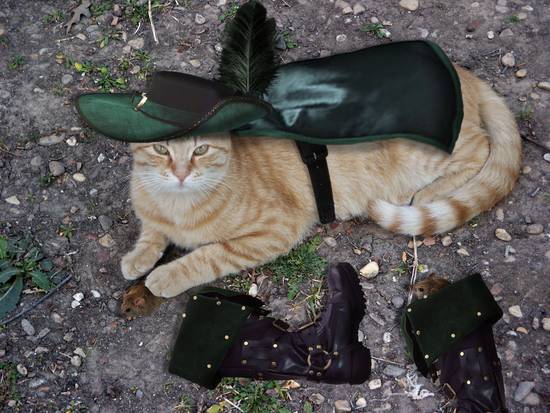 Puss out of boots