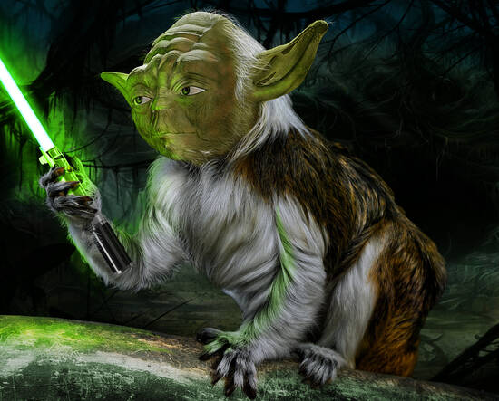 Yodarin I am!