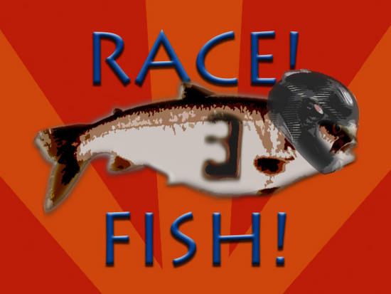 Race Fish!