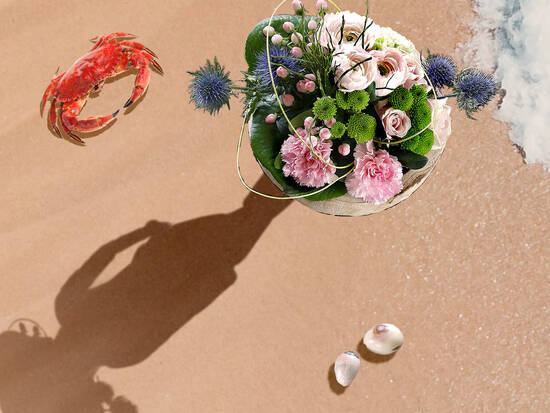 Bonnet at the Beach