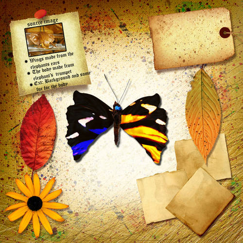 Butterfly Letter